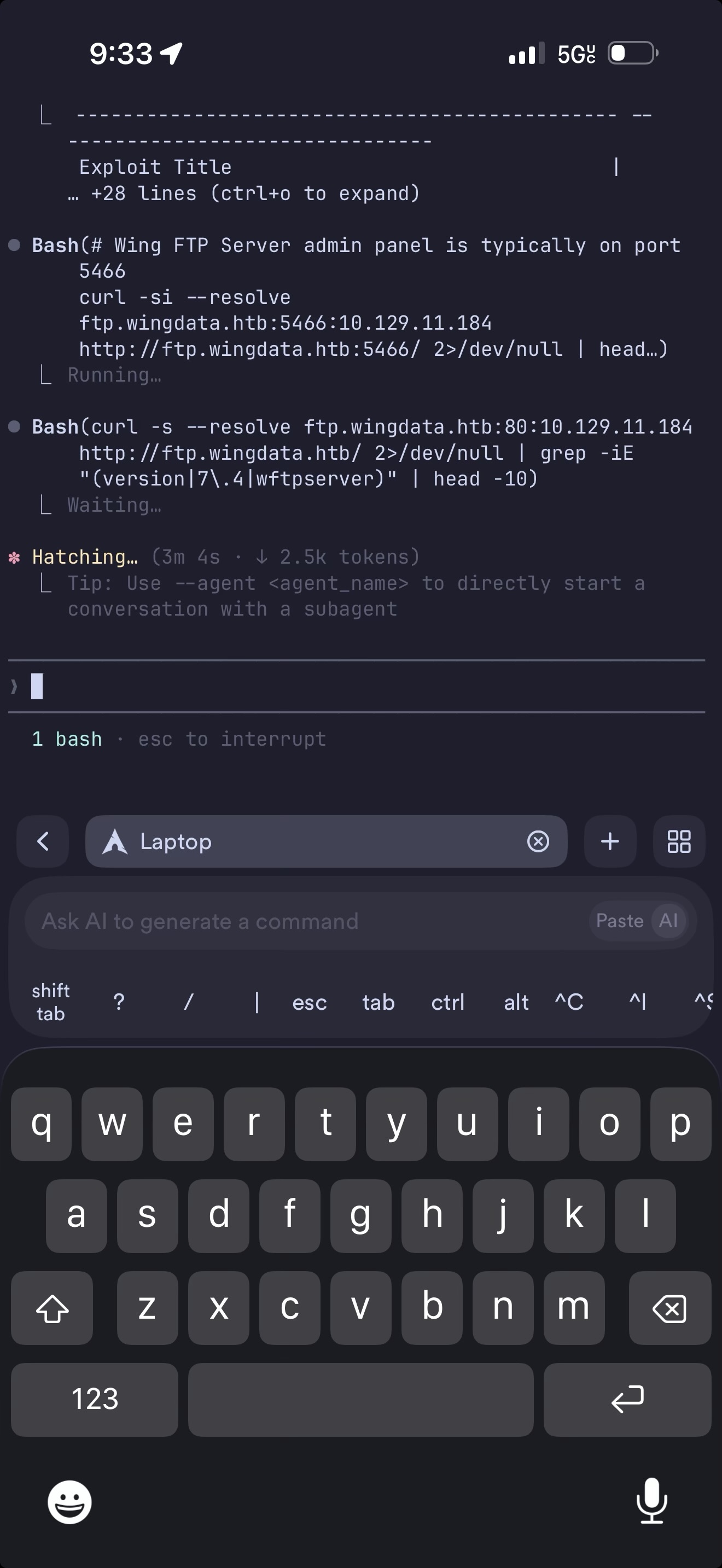 Using Claude Code as a hacking copilot from my phone
